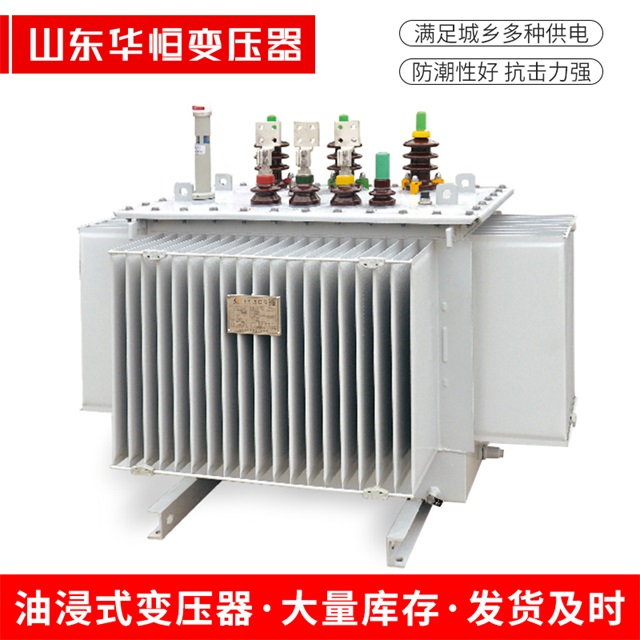 S13-10000/35拉萨拉萨拉萨电力变压器