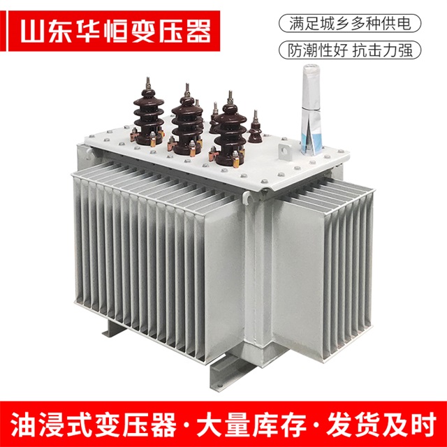 S13-10000/35拉萨拉萨拉萨油浸式变压器厂家